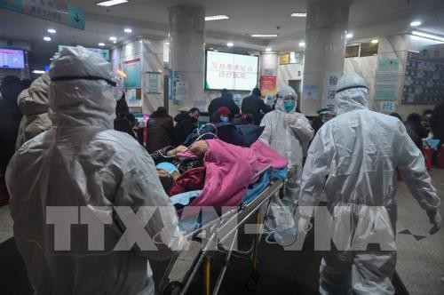 Sigue aumentando casos muertos de neumonía aguda en China  - ảnh 1