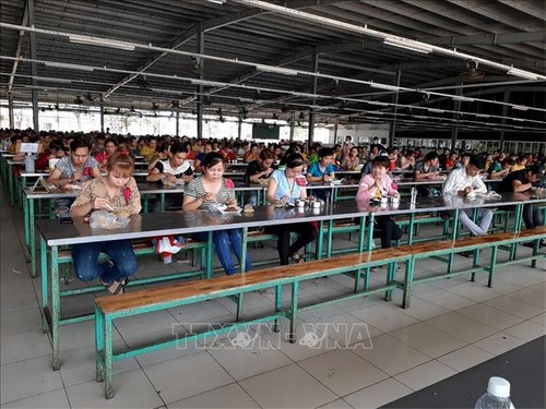 Piden controlar la expansión de Covid-19 entre trabajadores vietnamitas  - ảnh 1