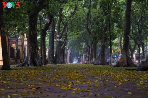 Hanói, remanso de paz - ảnh 1