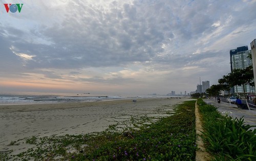 Da Nang, silenciosa en tiempo epidémico - ảnh 3