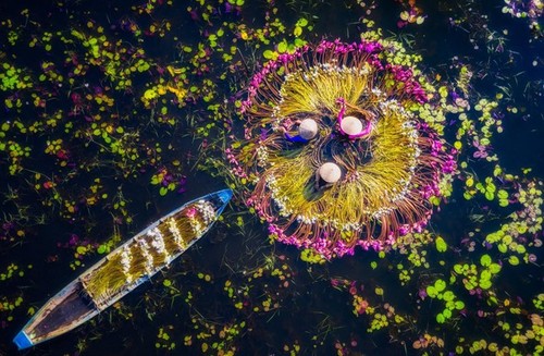 Foto de vendedor vietnamita gana el Gran Premio de Smithsonian de Estados Unidos - ảnh 4