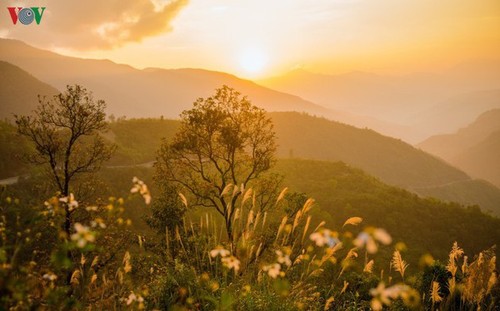 A Pa Chai, extremo occidental de Vietnam  - ảnh 4