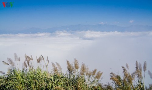 A Pa Chai, extremo occidental de Vietnam  - ảnh 6