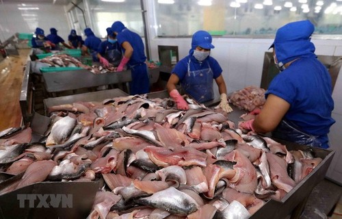 Estados Unidos baja el impuesto antidumping sobre el pangasius vietnamita - ảnh 1