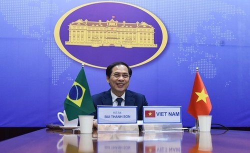 Celebran VII Consulta Política de Viceministros de Relaciones Exteriores Vietnam-Brasil - ảnh 1