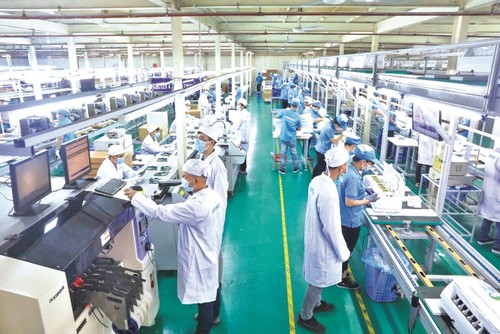 Las empresas vietnamitas eluden contrariedades del covid-19 para salir adelante - ảnh 1