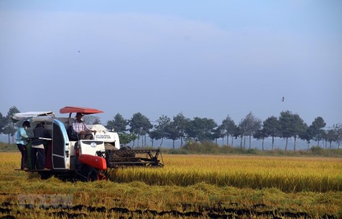 Realizan segundo Diálogo Nacional sobre el Sistema Alimentario de Vietnam - ảnh 1