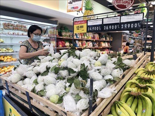 Establecen Grupo de Trabajo para la producción y el consumo de productos agrícolas en el Norte  - ảnh 1