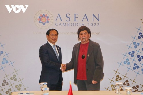 Canciller de Vietnam se reúne con dirigentes de Nueva Zelanda, Canadá y Reino Unido en Camboya - ảnh 1