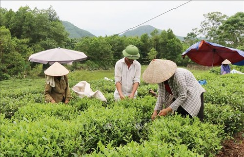 Honran a los agricultores ejemplares del periodo 2017-2022 - ảnh 1