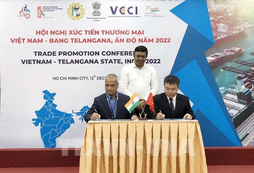 Empresas indias buscan oportunidades de negocios en mercado vietnamita - ảnh 1