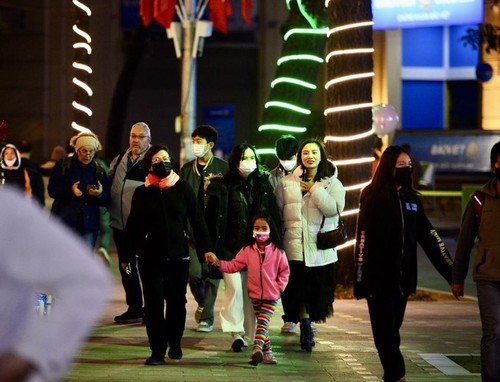 Hanói recibe a 208 mil visitantes durante las vacaciones de Año Nuevo - ảnh 1