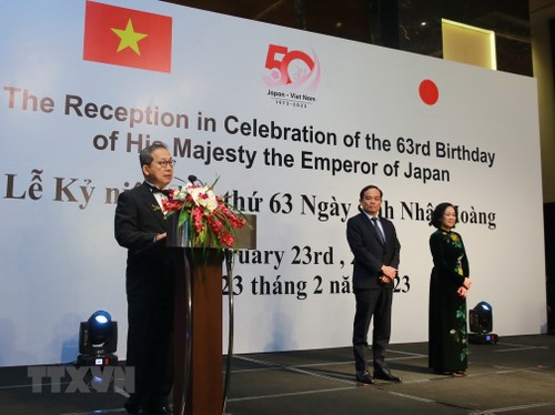 Vietnam y Japón estrechan lazos - ảnh 1