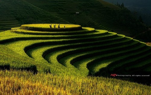 Bahía de Ha Long y Mu Cang Chai entre los 40 destinos más coloridos del mundo - ảnh 2