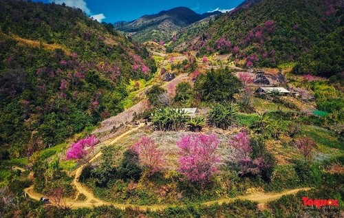 Bahía de Ha Long y Mu Cang Chai entre los 40 destinos más coloridos del mundo - ảnh 6