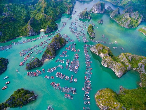 Bahía de Ha Long entre los 25 mejores destinos del mundo - ảnh 4