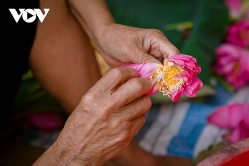 Descubren el té más caro de Vietnam - ảnh 7