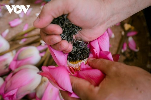 Descubren el té más caro de Vietnam - ảnh 8