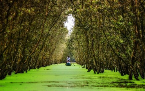 Lugares ideales de norte a sur para visitar durante el festejo del Día Nacional - ảnh 12