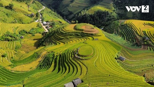 Lugares ideales de norte a sur para visitar durante el festejo del Día Nacional - ảnh 3