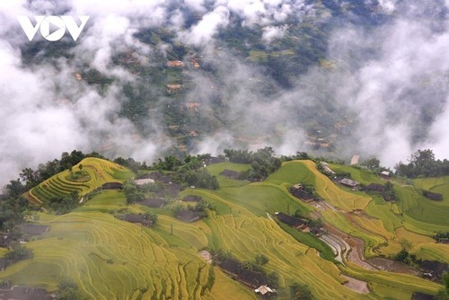 Los mejores destinos para ver el arroz maduro en otoño - ảnh 2