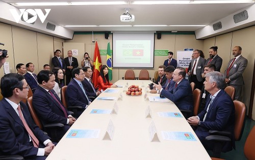 Pham Minh Chinh se reúne con presidente del Grupo Parlamentario de Amistad Brasil-Vietnam - ảnh 1