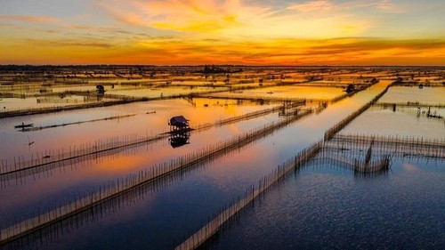 El esplendor de la laguna Chuon en Hue - ảnh 2