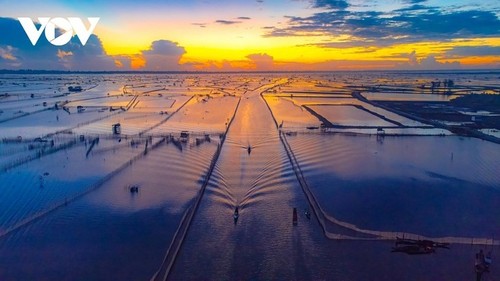 El esplendor de la laguna Chuon en Hue - ảnh 5