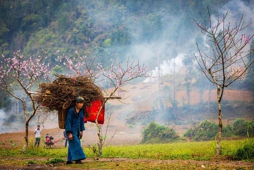 Espléndida meseta kárstica de Dong Van en Ha Giang - ảnh 11