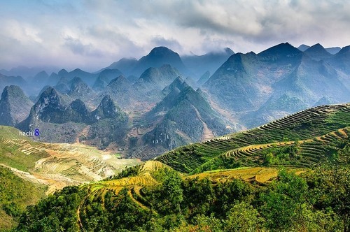 Espléndida meseta kárstica de Dong Van en Ha Giang - ảnh 2