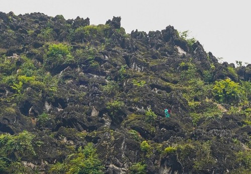 Espléndida meseta kárstica de Dong Van en Ha Giang - ảnh 8