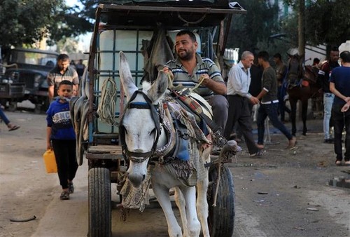 Israel emite nueva advertencia de evacuación en el sur de Gaza  - ảnh 1