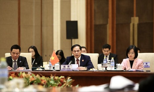 Vietnam aprecia la cooperación Mekong-Lancang, afirma canciller - ảnh 1