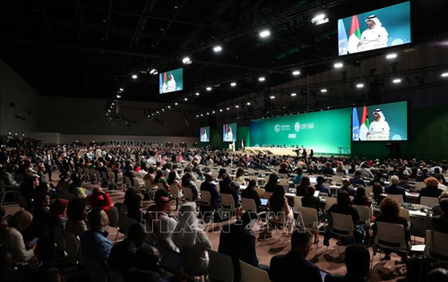 COP 28 se extenderá debido a desacuerdos sobre combustibles fósiles - ảnh 1