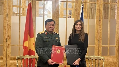 Tercer Diálogo Estratégico de Cooperación Defensiva Vietnam-Francia - ảnh 1