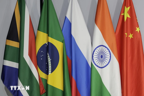 Vietnam sigue con gran interés la ampliación de la membresía del BRICS - ảnh 1