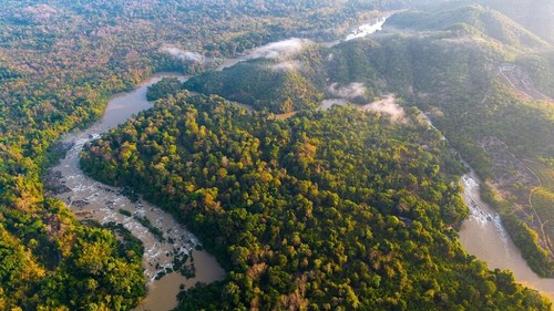 Parque Nacional de Cat Tien, un lugar de conservación de la naturaleza y la biodiversidad de Vietnam - ảnh 1