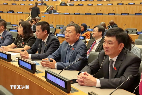 Vietnam asiste a Foro parlamentario sobre desarrollo sostenible de la ONU  - ảnh 1