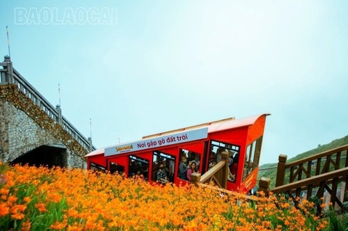 El brillo del Festival de las Flores Crocosmia 2024 en Sa Pa - ảnh 6