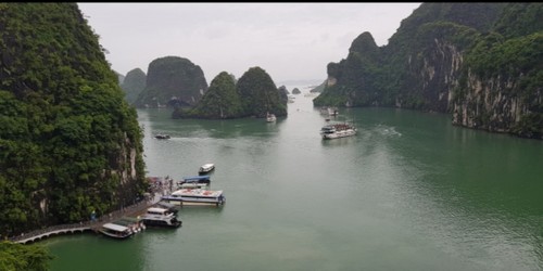 La travesía única “Vuelta por el Patrimonio de Ha Long” - ảnh 3