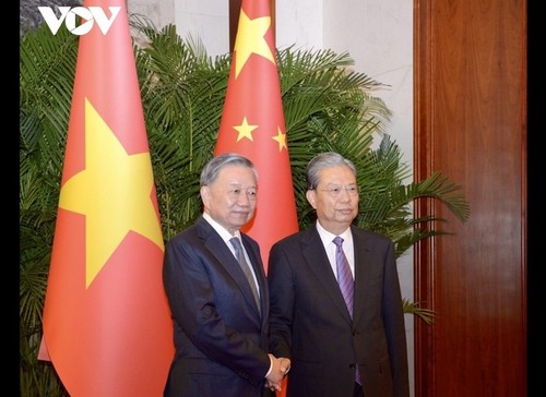 Líder político de Vietnam reunido con alto funcionario del Partido Comunista de China - ảnh 1