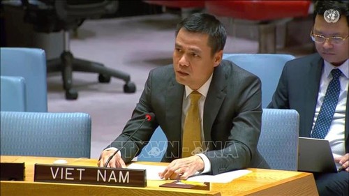 Vietnam enfatiza la cooperación en prevención de conflictos y construcción de paz sostenible - ảnh 1