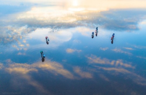 Quang Lang: la playa donde la naturaleza y la serenidad se revelan - ảnh 4