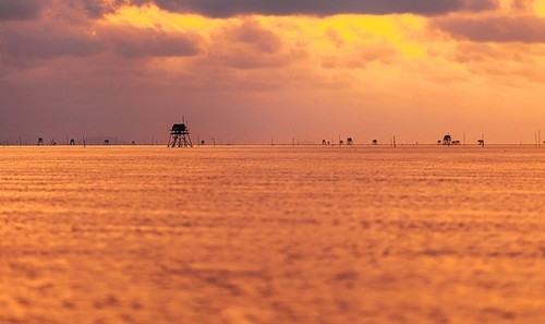 Quang Lang: la playa donde la naturaleza y la serenidad se revelan - ảnh 12