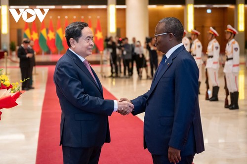 Primer Ministro de Vietnam recibe al Presidente de Guinea-Bissau - ảnh 2