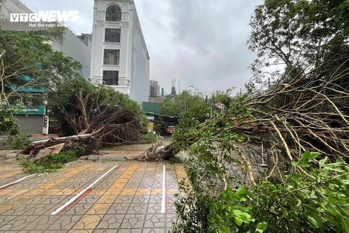 El tifón Yagi golpea Hai Phong y Quang Ninh con ráfagas de nivel 13 - ảnh 2