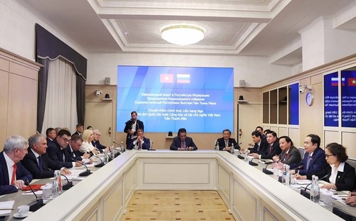 Vietnam y Rusia fortalecen cooperación parlamentaria  - ảnh 1