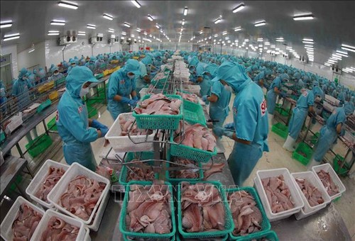 Estados Unidos: Empresas exportadoras vietnamitas no realizan dumping con productos de pangasius - ảnh 1