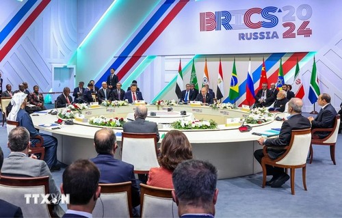 Miembros de BRICS adoptan declaración conjunta - ảnh 1