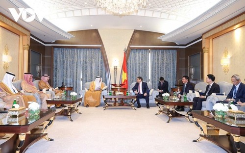 Vietnam y Arabia Saudita fortalecen cooperación en inversión, economía y comercio   - ảnh 1